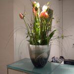 Blumen wilheine Hannover - Blumen-Abo