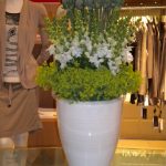 Blumen wilheine Hannover - Floristik - Firmenkunden