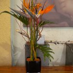 Blumen wilheine Hannover - Floristik